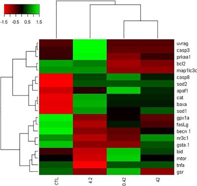 Effects of Di-Isononyl Phthalate (DiNP) on Follicular Atresia in Zebrafish Ovary